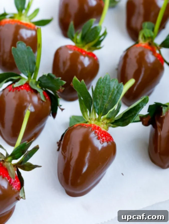 An inviting top-down view of freshly chocolate-dipped strawberries laid out on parchment paper, awaiting their final decorative touches.
