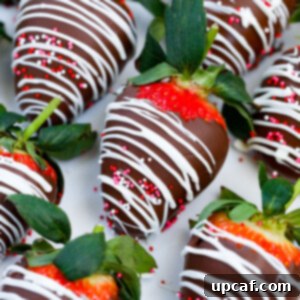 rows of Easy Chocolate Covered Strawberries.