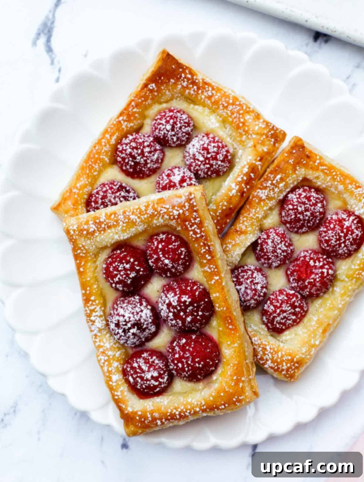 A close-up of a single raspberry tart, elegantly presented on a plate and lightly dusted with powdered sugar, inviting you to take a bite.