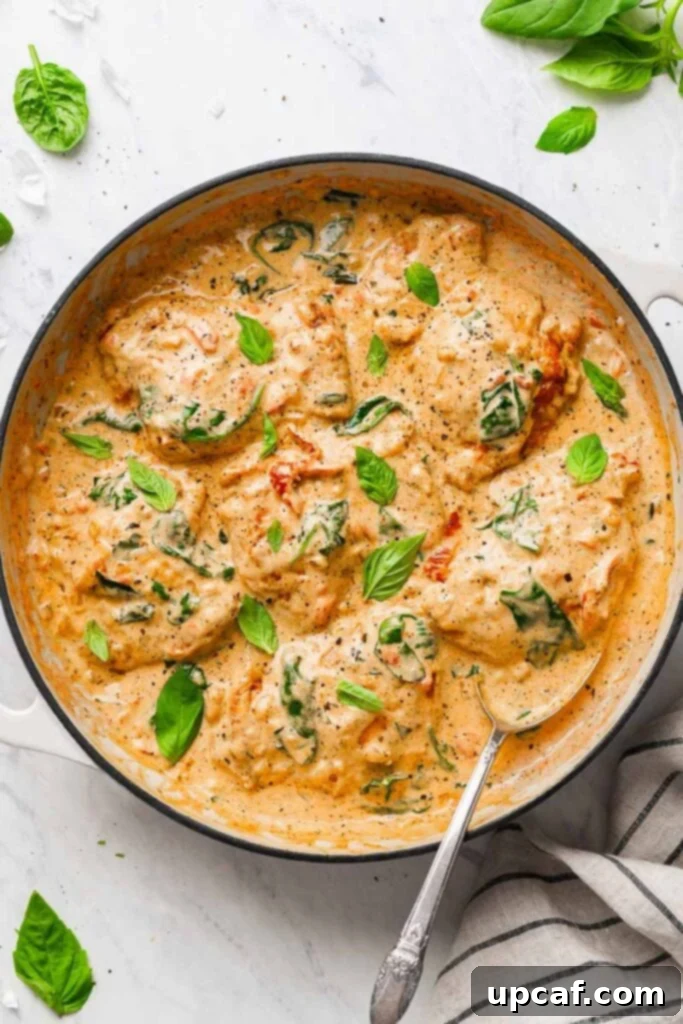 Velvety Sun-Dried Tomato Chicken Thighs 2 top down view of the creamy chicken thighs dish, garnished with basil leaves