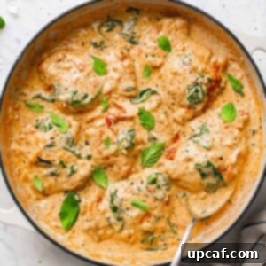 Velvety Sun-Dried Tomato Chicken Thighs 7 top down view of the creamy chicken thighs dish, garnished with basil leaves