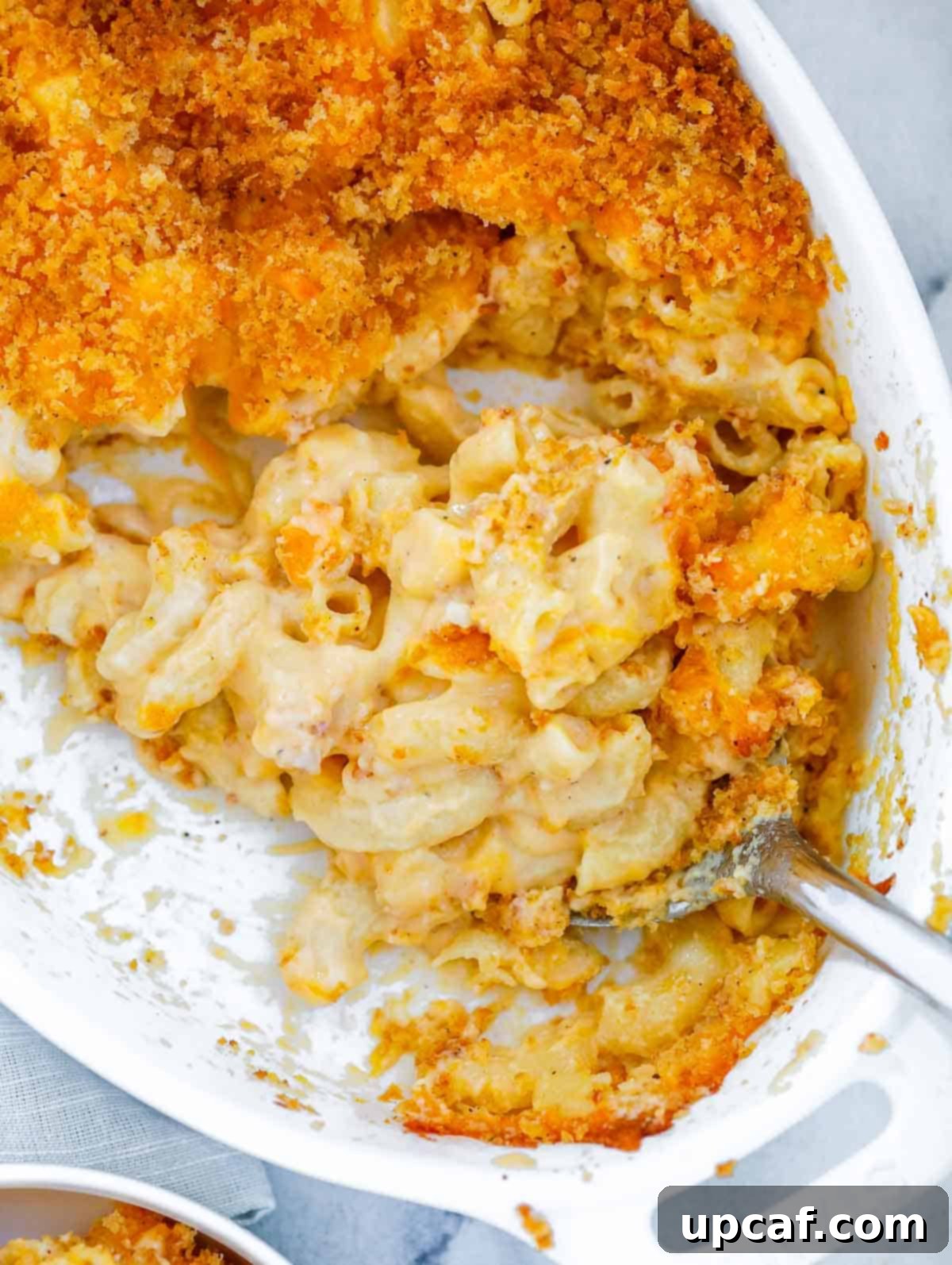 Easy Baked Mac and Cheese A baking dish filled with golden-brown baked mac and cheese, with a serving spoon resting inside, ready to be enjoyed.