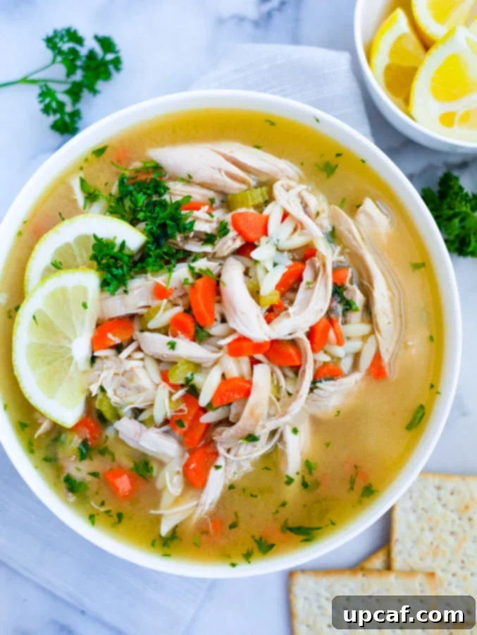 Close-up of Lemon Chicken Orzo Soup Overhead shot of a bowl of Lemon Chicken Orzo Soup, garnished with fresh parsley and a lemon slice.