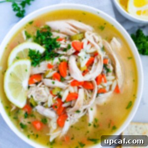 Bright Lemon Chicken Orzo Soup 6 Lemon Chicken Orzo Soup serving
