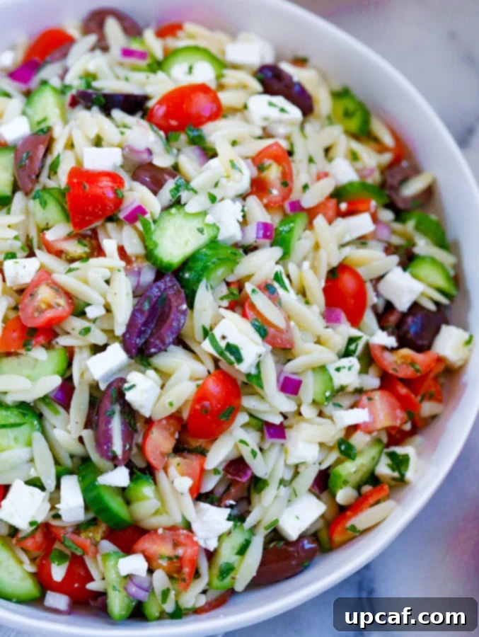 Close-up of a beautifully plated Greek Orzo Salad ready to be served