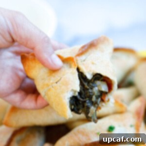 Lebanese Spinach Pies filling