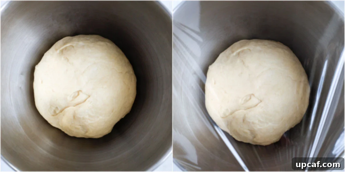 showing the dough mixed and ready to rest