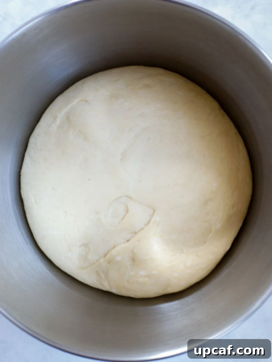 risen dough in a bowl