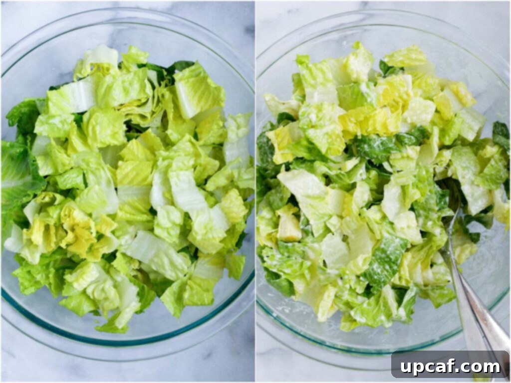 Fresh romaine lettuce tossed with creamy Caesar dressing in a large bowl