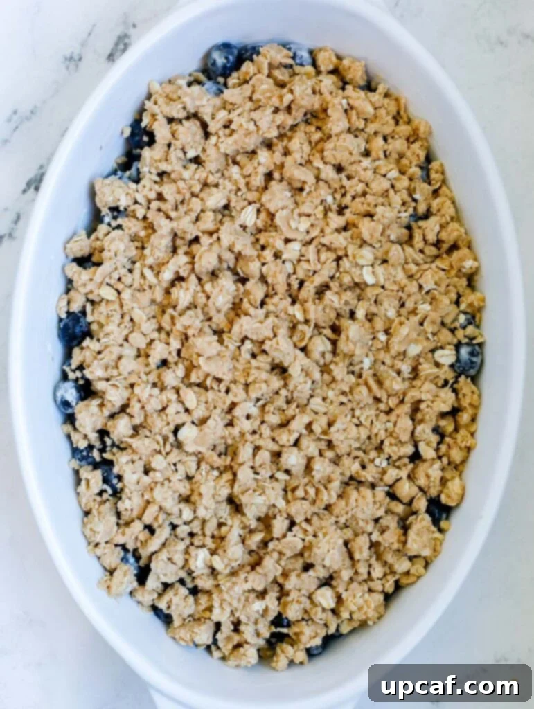 Blueberry filling in a ceramic baking dish, generously covered with the streusel crumb mixture, ready for the oven