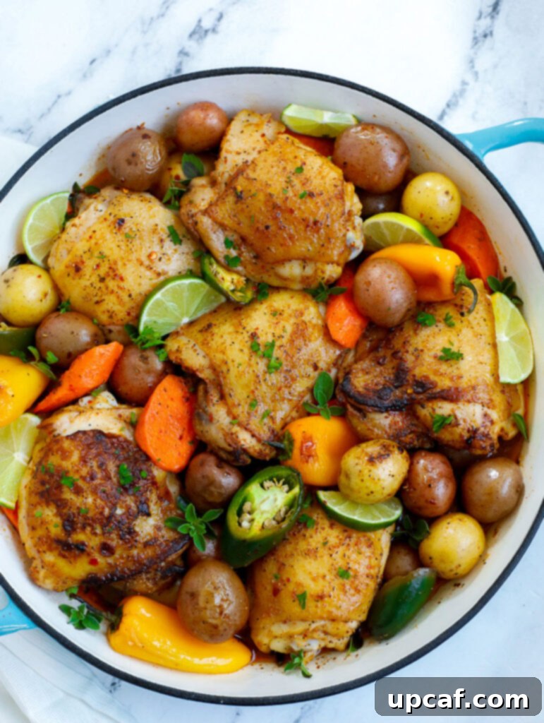 Rustic Chicken and Potato Bake 2 Top-down shot of a golden-brown chicken and roasted vegetables in a pan