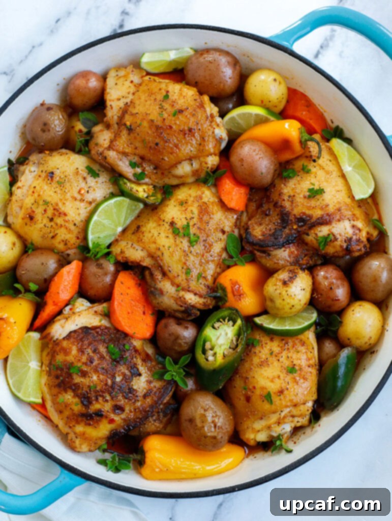 Rustic Chicken and Potato Bake 6 Overhead shot of a finished Chicken and Potato Bake in a pot, garnished with fresh herbs