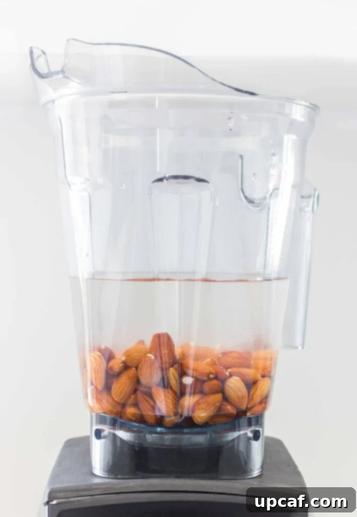 Fresh Almond Milk From Scratch 6 almonds with water in blender to make almond milk