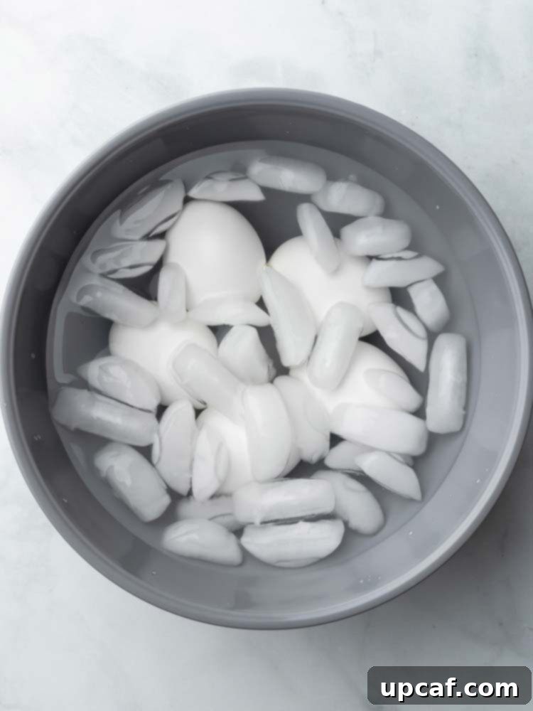 Cooked eggs submerged in a bowl of ice water to stop the cooking process.