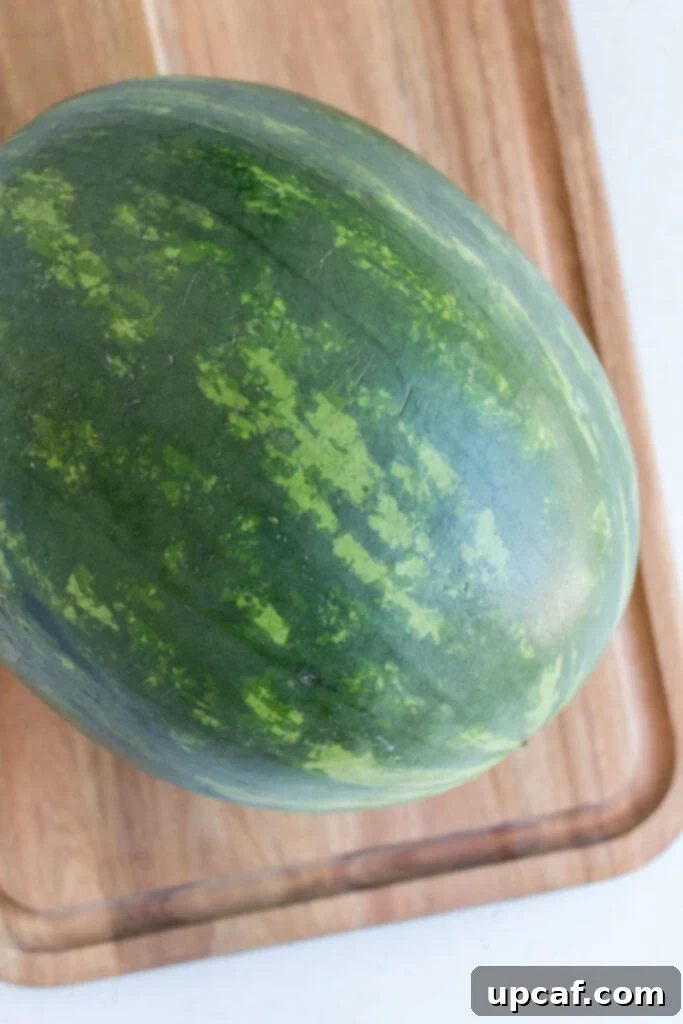 Close-up of a perfectly ripe watermelon showing its green rind and a prominent yellow field spot.