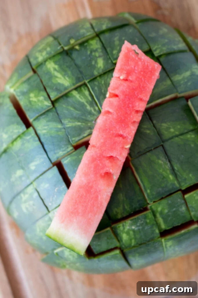 A single, perfectly cut watermelon stick.
