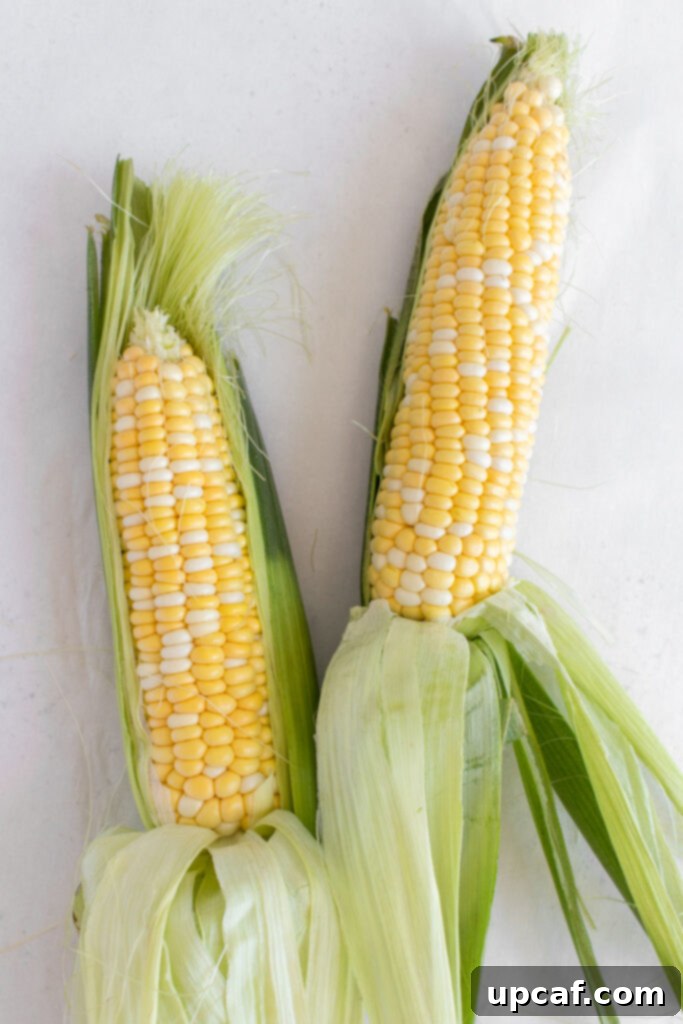 Cooking Corn to Perfection 3 Hands demonstrating how to shuck corn by peeling back the husk