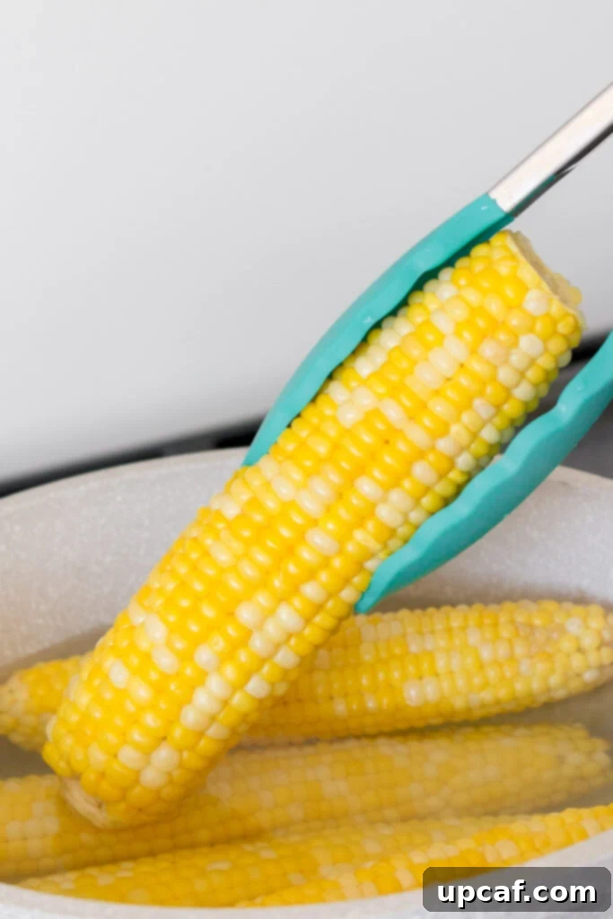 Cooking Corn to Perfection 4 Corn being boiled in a large pot of water on the stove