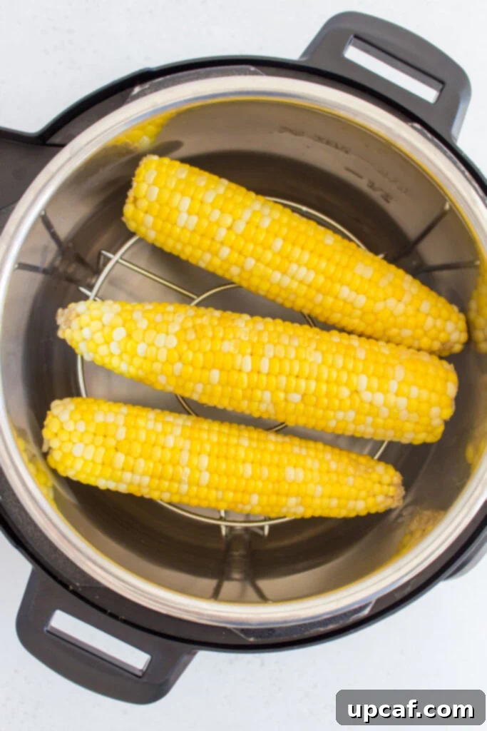 Cooking Corn to Perfection 5 Corn cobs stacked inside an Instant Pot for pressure cooking