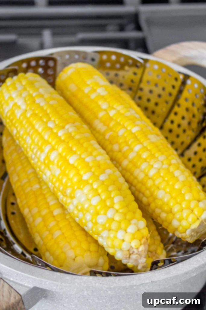 Cooking Corn to Perfection 9 Corn being steamed in a pot with a steamer insert