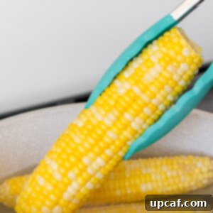 Cooking Corn to Perfection 10 Cooked corn on the cob ready to eat