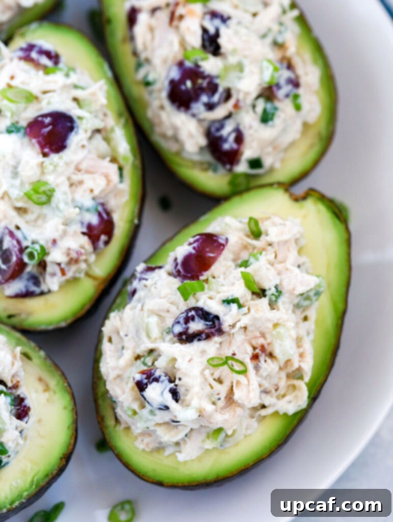 overhead shot of Stuffed Avocado on a white plate.