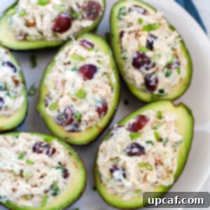 a plate of Stuffed Avocados
