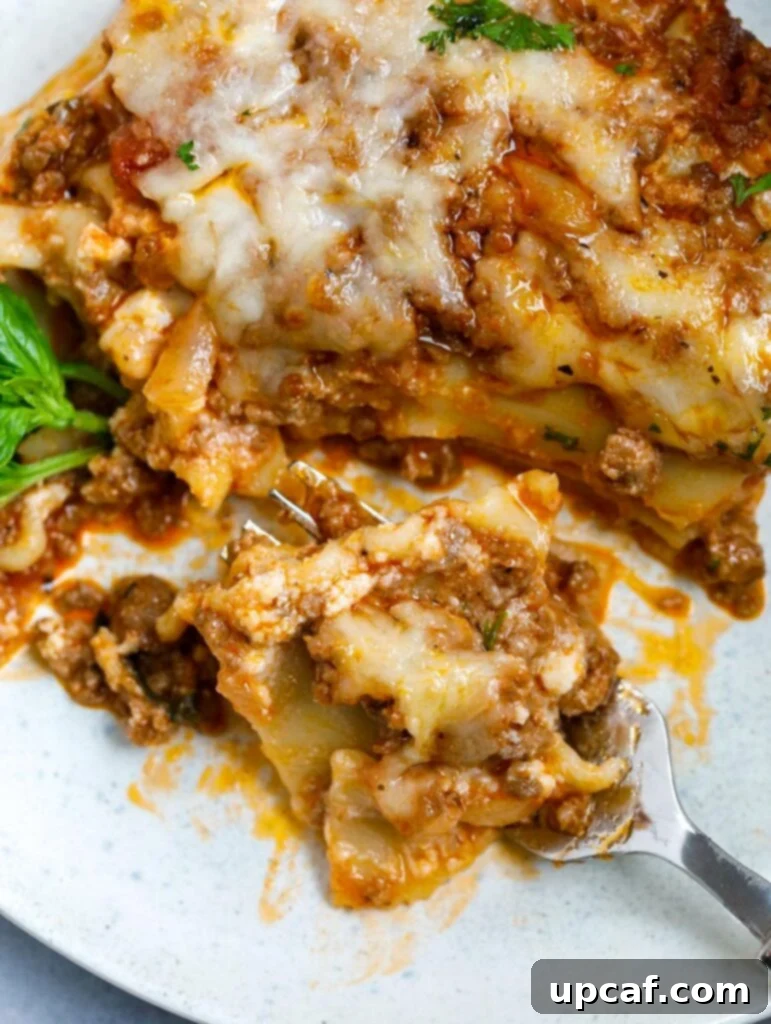 Close-up view of a perfectly baked Meat Lasagna, showing the golden cheese and distinct layers.