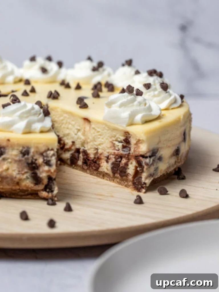 Ultimate Chocolate Chip Cheesecake 5 A perfectly sliced chocolate chip cheesecake, revealing its smooth, creamy filling and crunchy graham cracker crust.