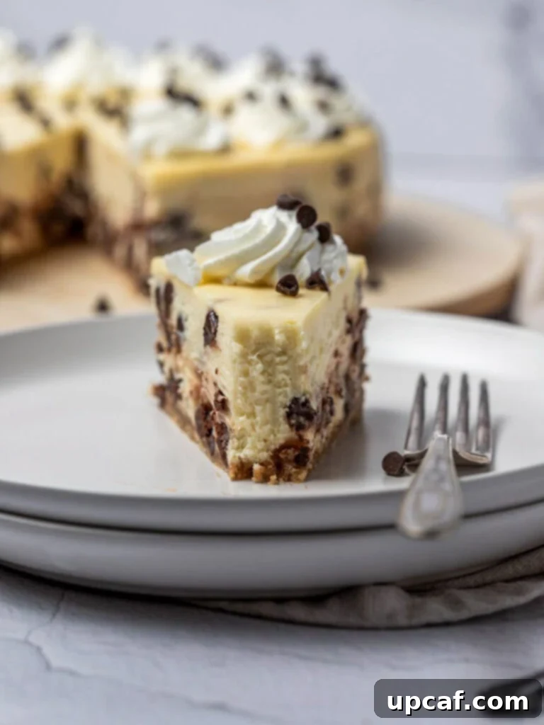 Ultimate Chocolate Chip Cheesecake 6 A close-up shot of a single slice of easy chocolate chip cheesecake, with a bite taken out, showing its perfect texture and abundant chocolate chips.
