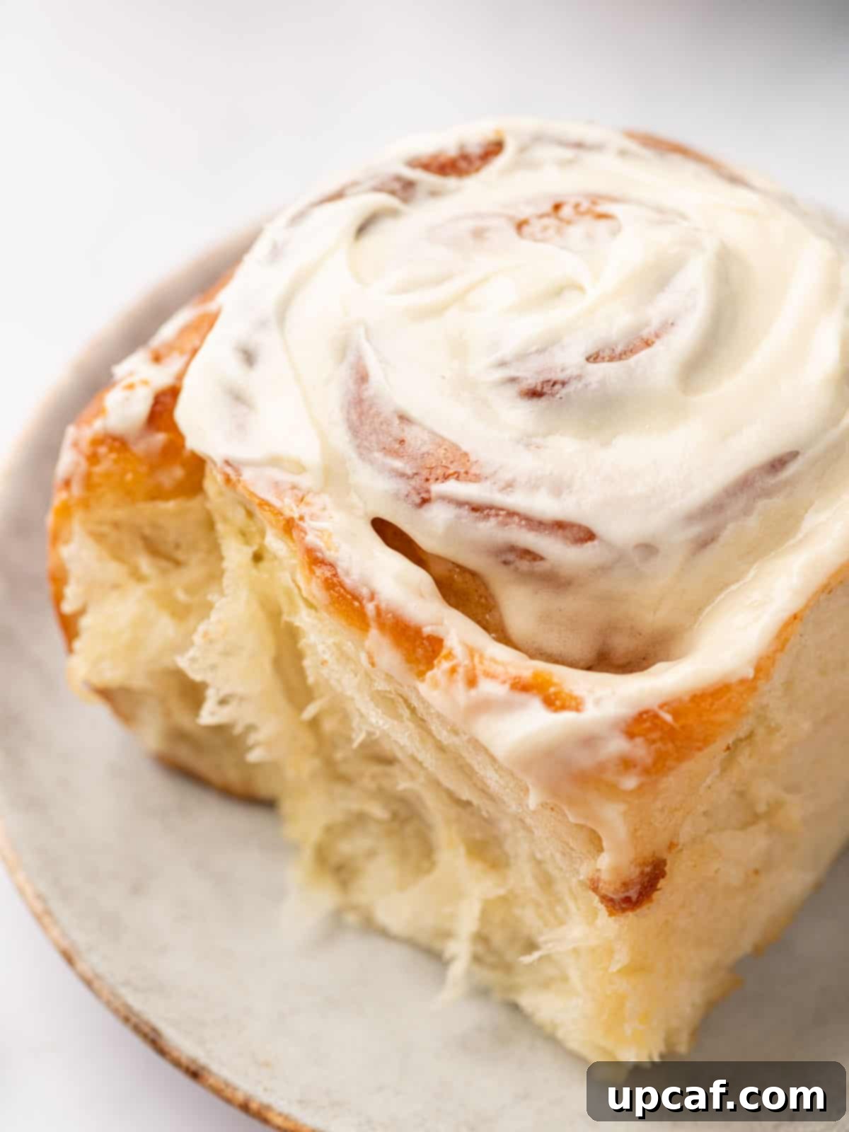 Bakery-Style Cinnamon Rolls: Extra Soft, Gooey, and Irresistibly Creamy 18 Close Up of a Cinnamon Roll