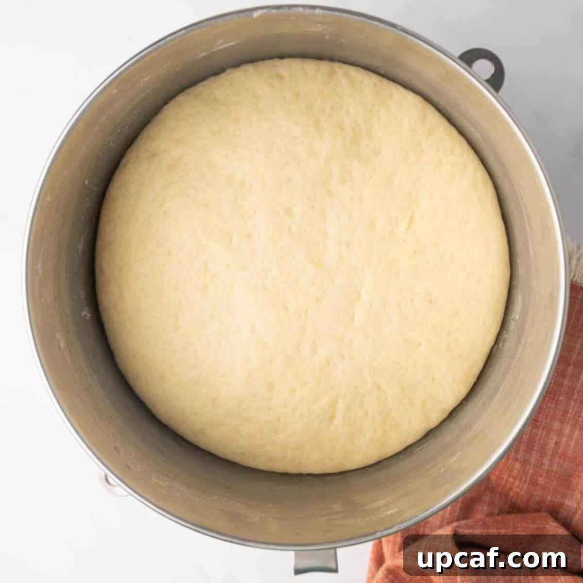 Bakery-Style Cinnamon Rolls: Extra Soft, Gooey, and Irresistibly Creamy 7 Dough Rising in a Mixing Bowl